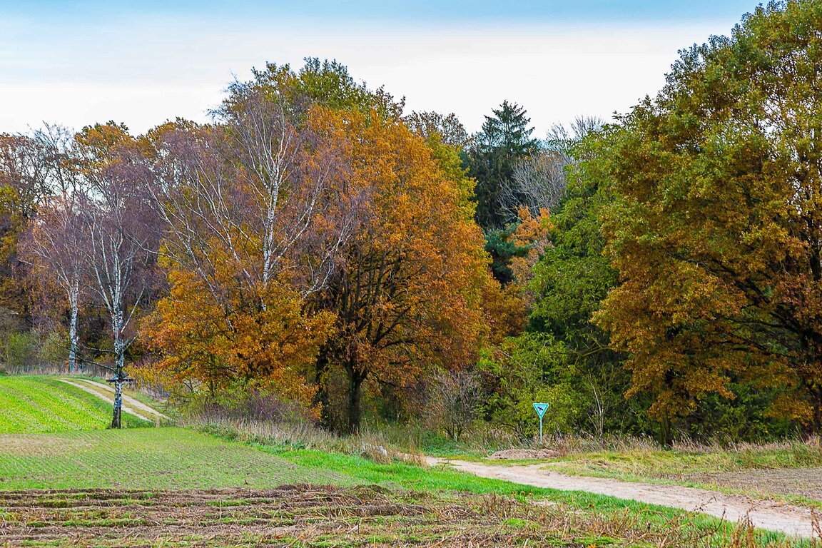 Image: 03_JA_1752 Schneiderbauer, Flur.jpg